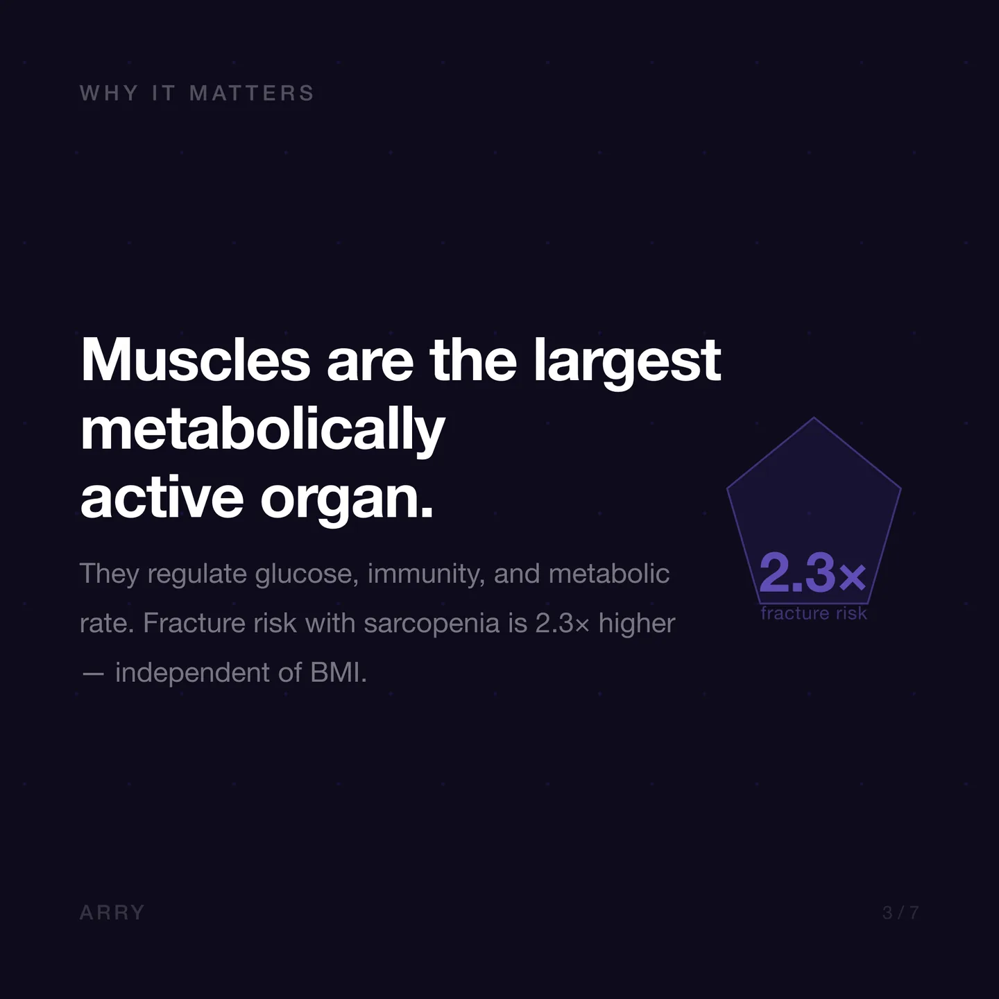 Why muscle matters for metabolism